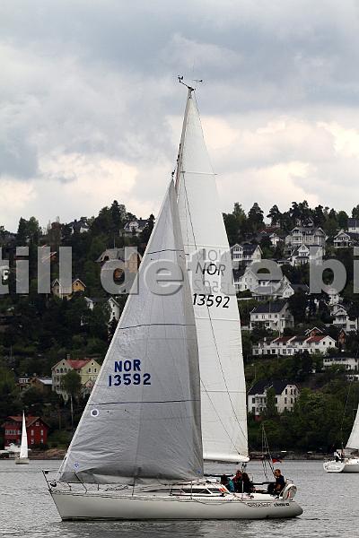 Bundefjorden2012 031.jpg